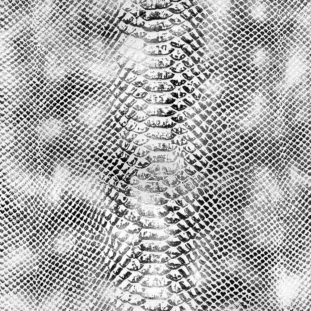M-NW113-C10
