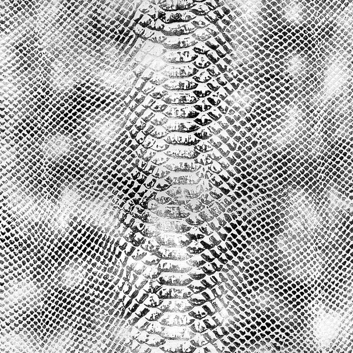 M-NW113-C10